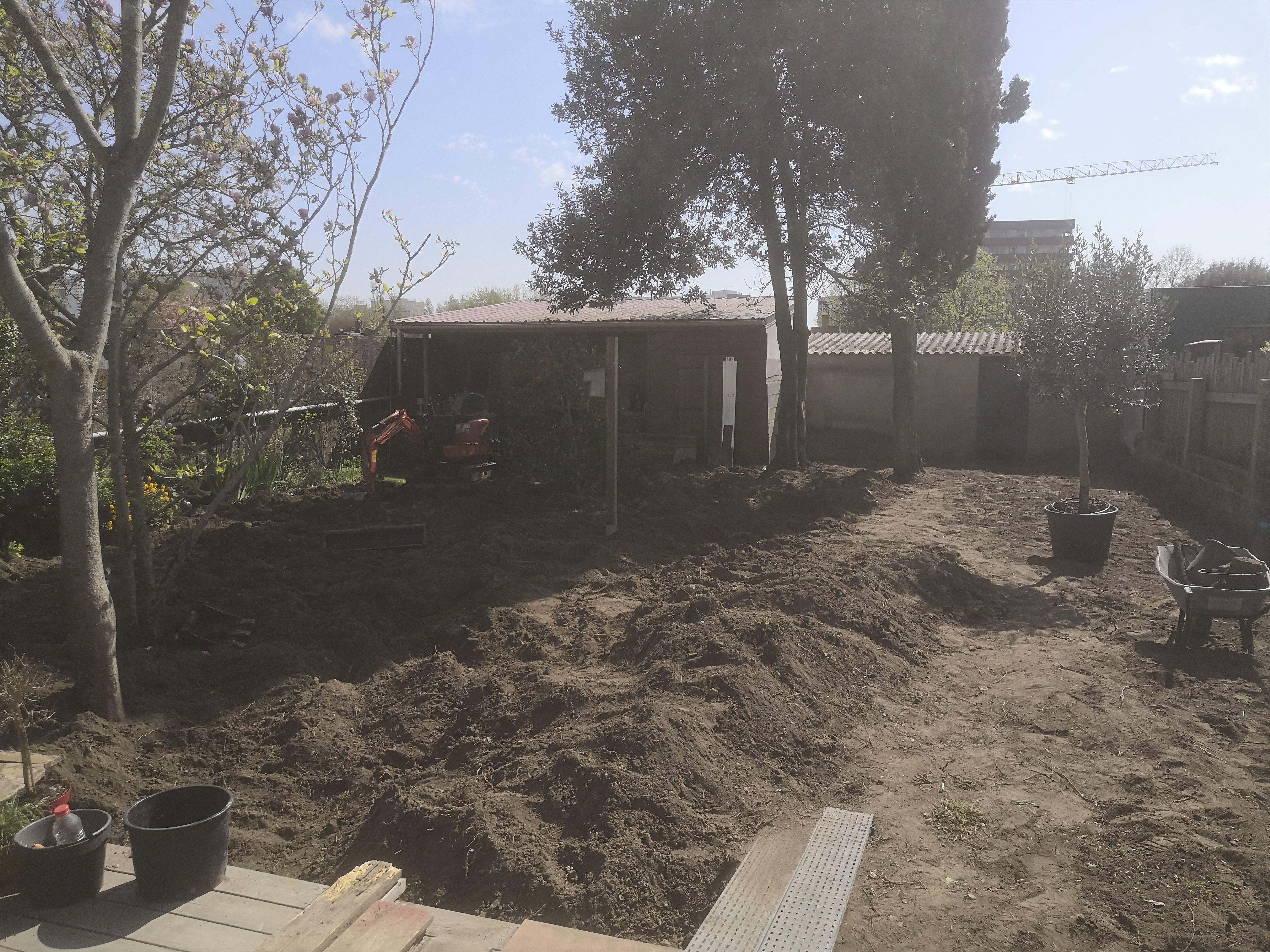 Photo avant la prestation d'Allium Paysage